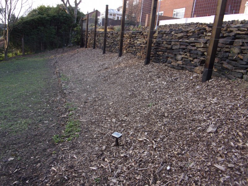 March 31  2021 (22).JPG