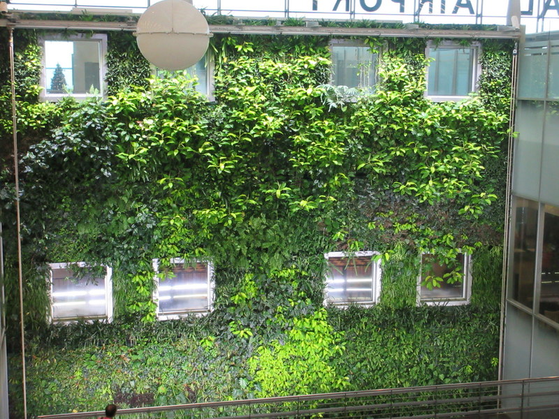 MAURITIUS  AIRPORT 08-01-2019 17-47-41.JPG