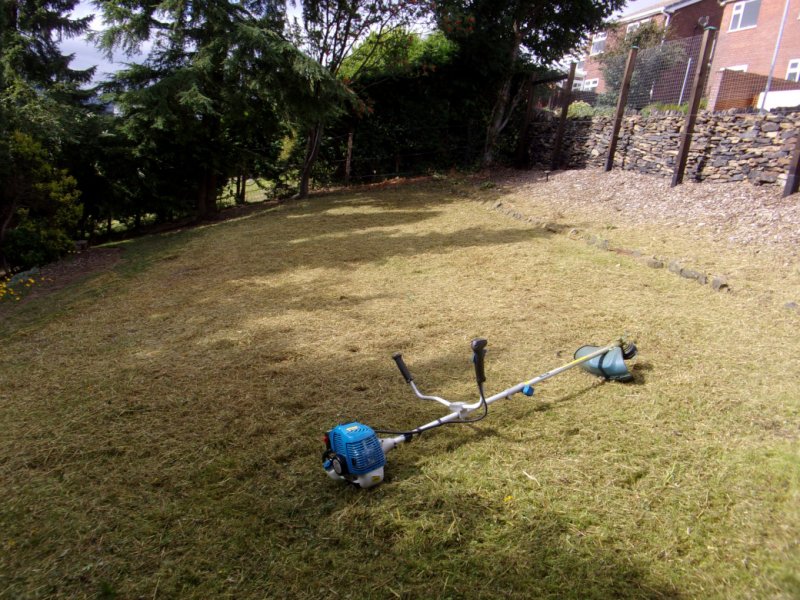 Meadow 17 Aug 21_0005.JPG