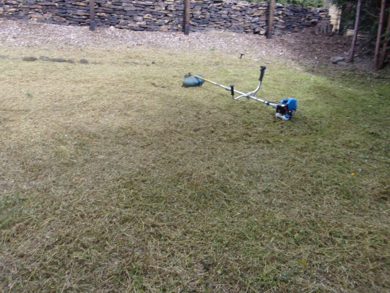 Meadow 17 Aug 21_0006.JPG