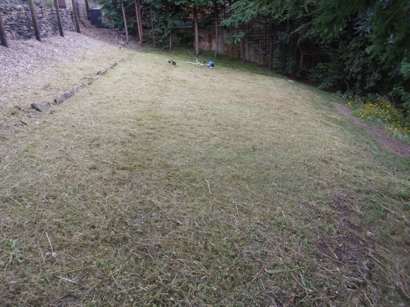 Meadow 17 Aug 21_0007.JPG