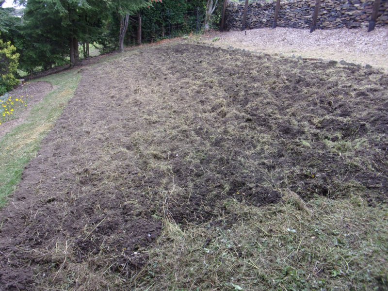 Meadow 18 Aug 21_0001.JPG