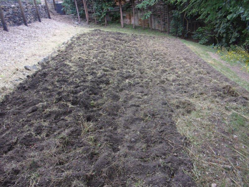 Meadow 18 Aug 21_0002.JPG