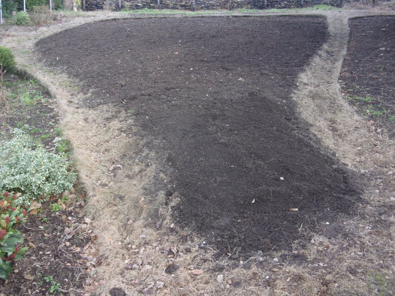 Meadow Dec 2025_694.JPG