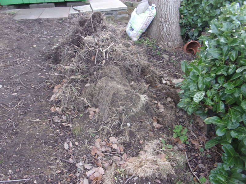 Meadow Dec 2025_695.JPG