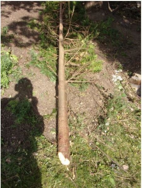 Meadow OCT 2024_0001.JPG