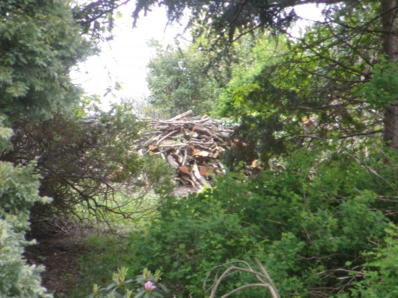 Meadow work._516.JPG