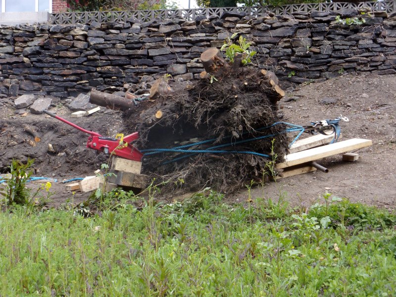 Meadow work._517.JPG