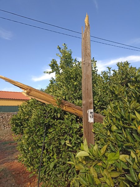 MEO Pole2 11 Oct 21.jpg