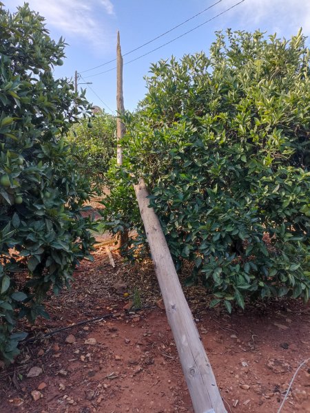 MEO Pole2  11 Oct 21.jpg