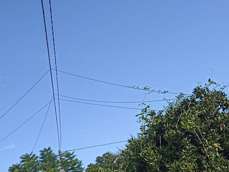 MEO Wires 11 Oct 21.jpg