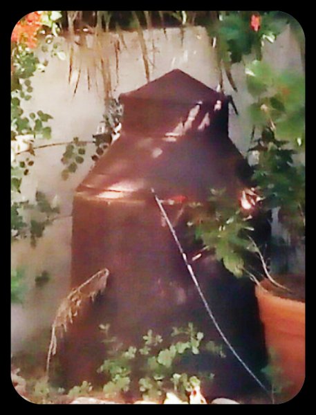 Milk Urn11 Oct 21.jpg