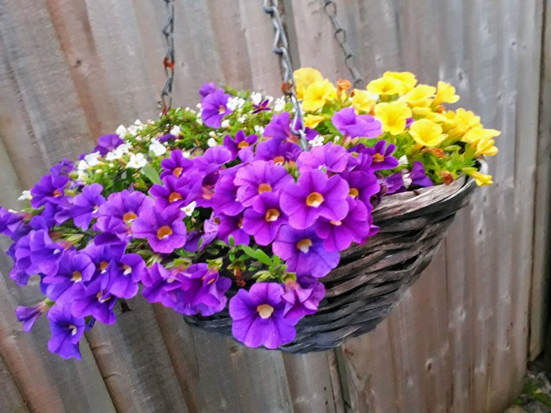 million bells basket.jpg