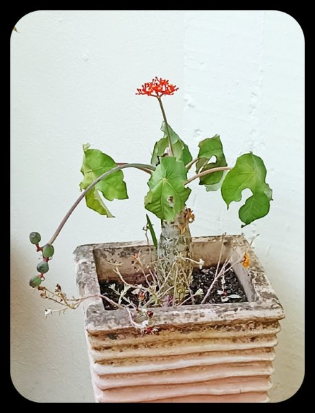 Monday 29 Oct 21.jpg