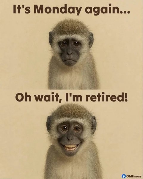 monday-retired.jpg