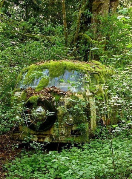 Moss camper.jpg