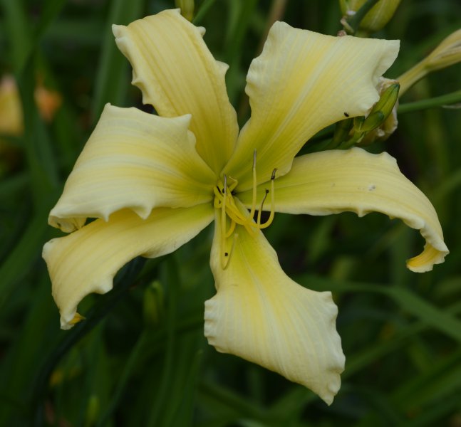 Mount Echo Sunrise.JPG