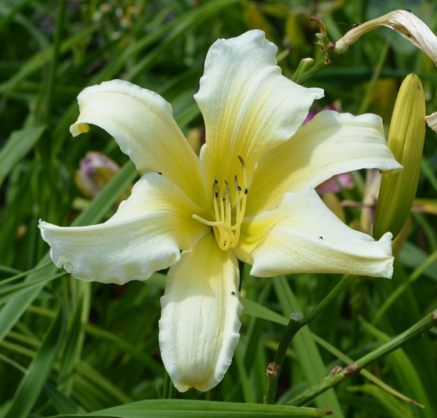 Mount Echo Sunrise.JPG