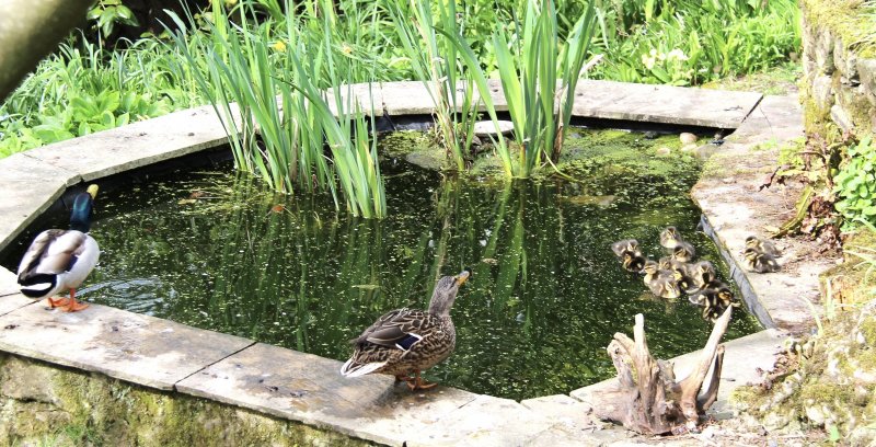 Mr & Mrs D - celebratory drink 14 April 2025.jpeg