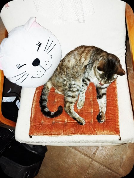 Munch & Friend 16 Jun 25.jpg