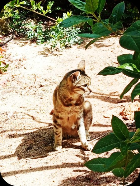Munch in Sandgarden Mat 24.jpg