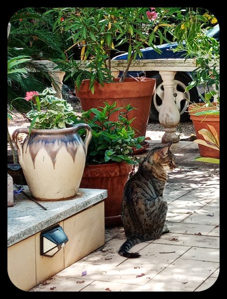 Munch in Shadows 8 Jun 22.jpg