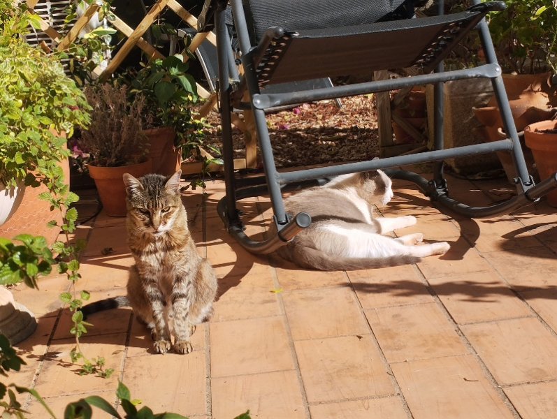 Munch & Van 11 Sep.jpg