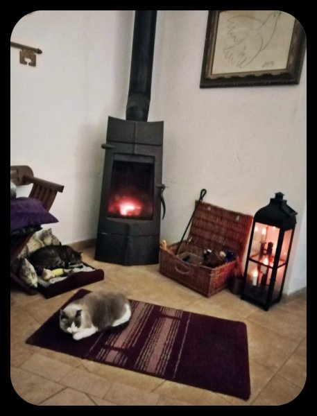 Munch & Van 2 23 Dec 21.jpg