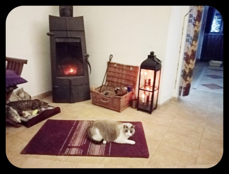 Munch & Van 23 Dec 21.jpg