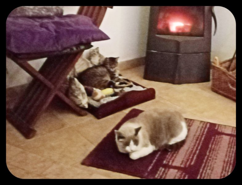 Munch & Van 3 23 Dec 21.jpg