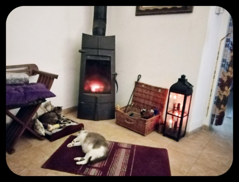 Munch & Van 4 23 Dec 21.jpg