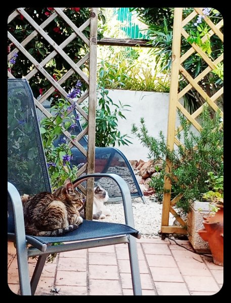 Munch & Van 6 Apr 21.jpg