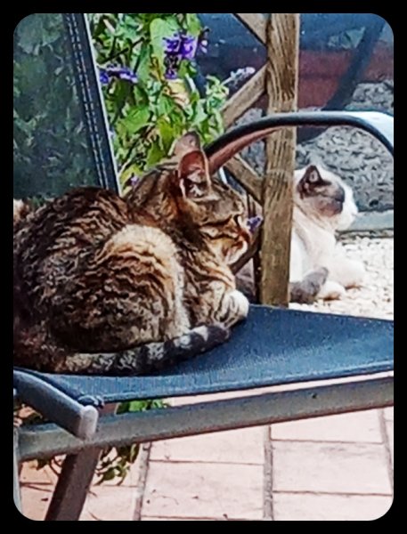 Munch & Van x 6 Apr 21.jpg