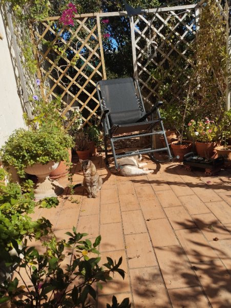 Munch & Van2 11 Sep 245.jpg