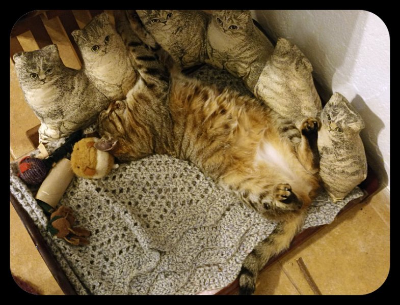 Munchie 24 Nov 21.jpg