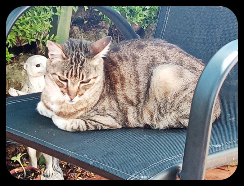 Munchkin 18 May 22.jpg