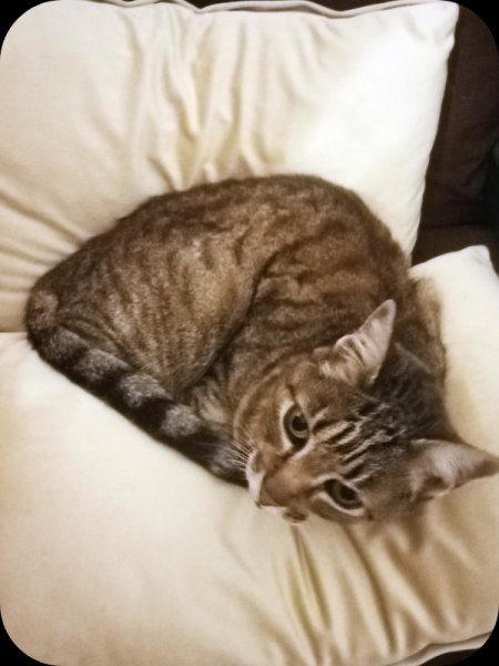 Munchkin 2 Jan 24.jpg