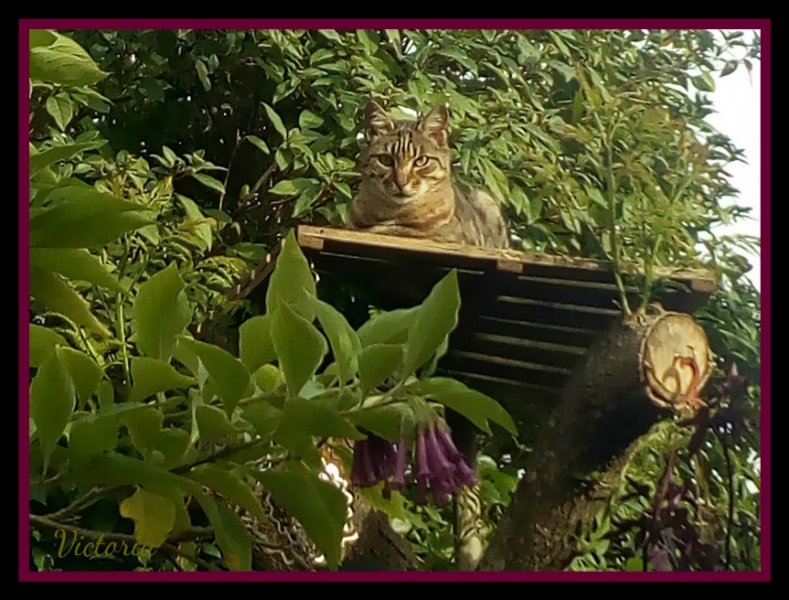 Munchkin 2 Nov 19.jpg