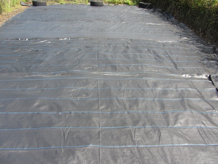 mypex lay sheets.jpg