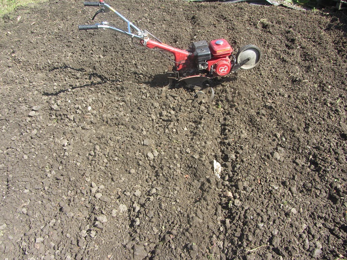 mypex rotorvate A.jpg