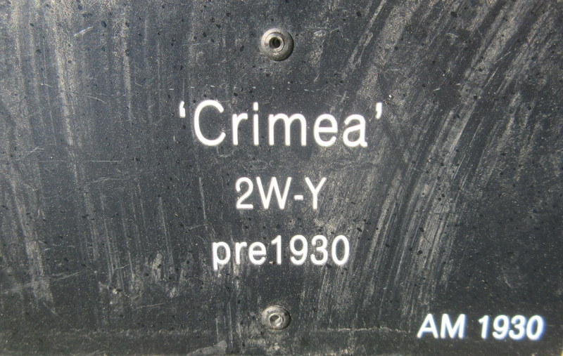 NARCISSUS  CRIMEA 19-04-2018 14-08-048.JPG