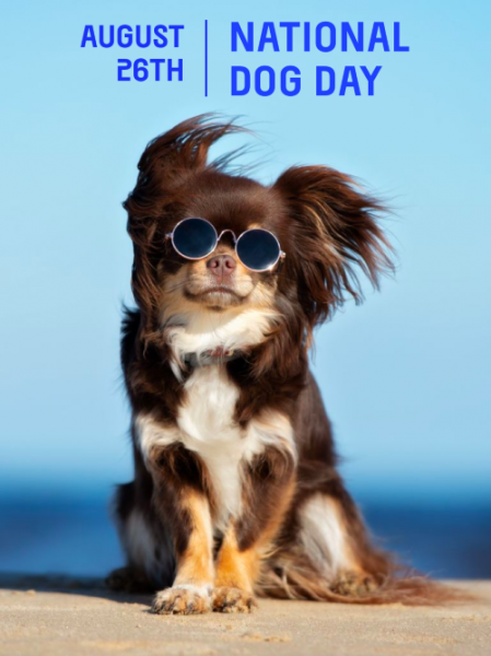 national-dog-day.png