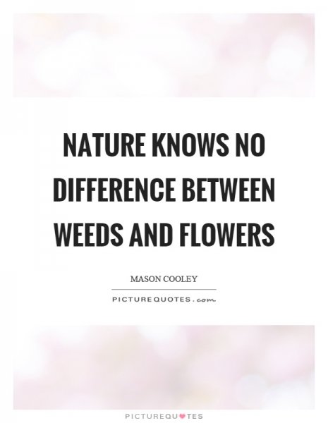 nature-knows-no-difference-between-weeds-and-flowers-quote-1.jpg