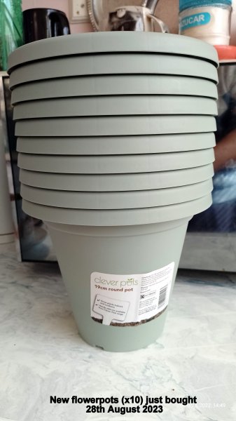 New flowerpots (x10) just bought 28th August 2023.jpg