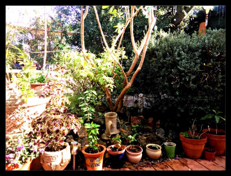 Nicholas 15 Nov 20.jpg