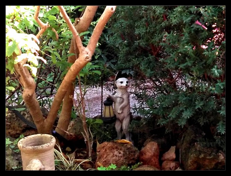 Nicholas2 15 Nov 20.jpg