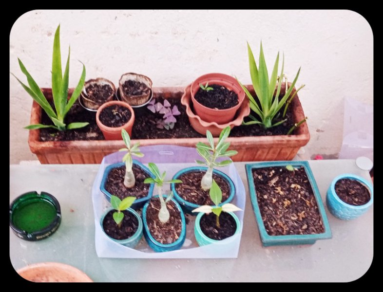 Nursery 16 Oct 22.jpg