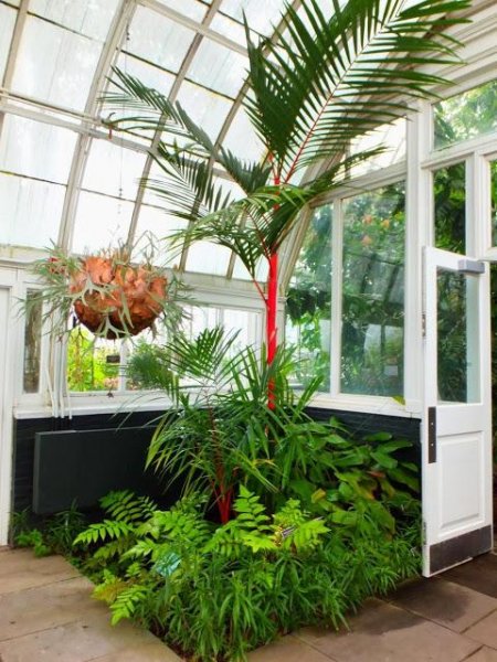 nybg-conservatory-rainforest-and-aquatic-plan-L-3nKWgv.jpg