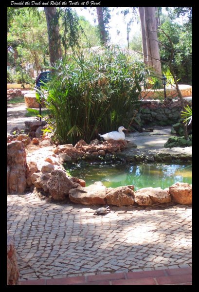 O Farol9 27 Jul 08.jpg