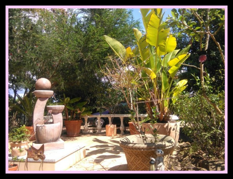 Obi & Nicholas Apr 20.jpg